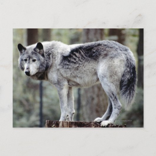 24114488 BRIEFKAART (Voorkant)