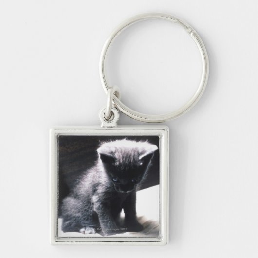24117556 SLEUTELHANGER (Voorkant)