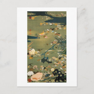 24. 貝 甲 図, 若 Shells, Jakuchu, Japan Art Briefkaart