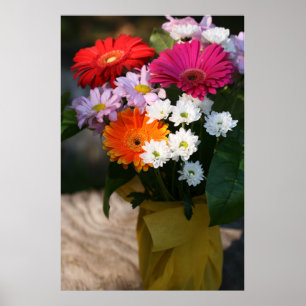 24 x 24 inch, Value-Poster papier (Matte) Poster
