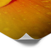 24 x 24 inch, Value-Poster papier (Matte) Poster (Hoek)