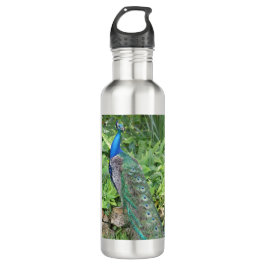 24oz Roestvrij staal flesje Peacock Water Waterfles