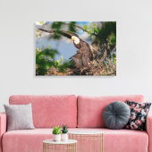 24x16 Bald Eagle met het nest Canvas Afdruk (Insitu (Woonkamer))