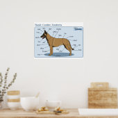 24x18 Canine-anatomie Poster (Keuken)