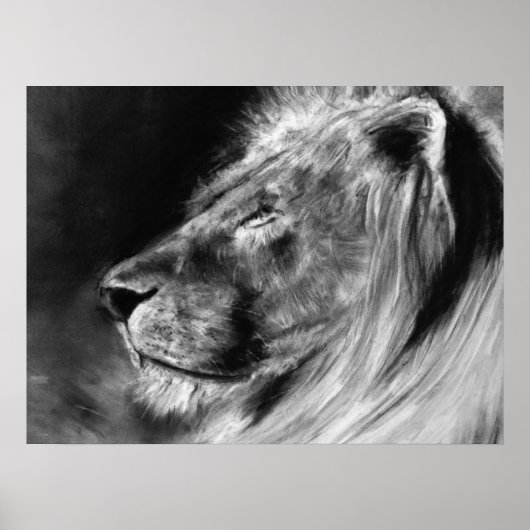 24x18 poster leeuw (Voorkant)