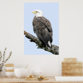 24x36 Poster Paper (Matte) d'aigle (Cuisine)