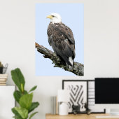 24x36 Poster Paper (Matte) d'aigle (Bureau à domicile)