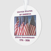 250e anniversaire USA drapeaux patriotiques acryli (devant)