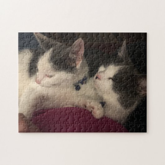 252 stuk puzzel (Horizontaal)