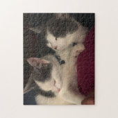 252 stuk puzzel (Verticaal)