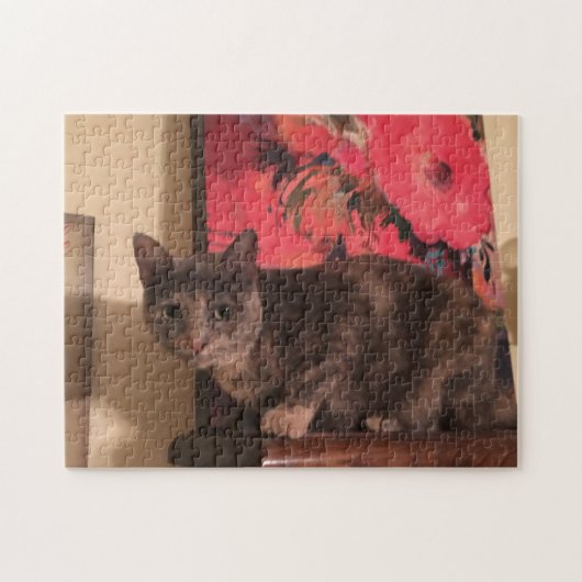 252 stuk puzzel (Horizontaal)