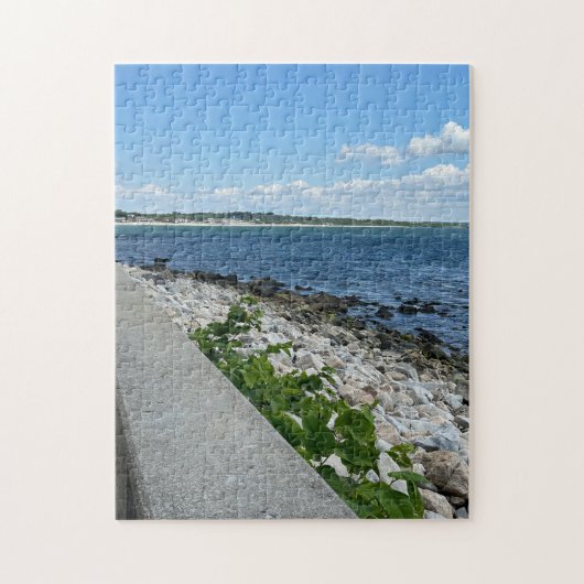 252 stuk puzzel (Verticaal)