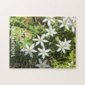 252 stuk puzzel (Horizontaal)