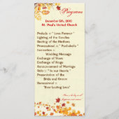 25 4x9 de Herfst van het Programma van de Weddensc (Voorkant)