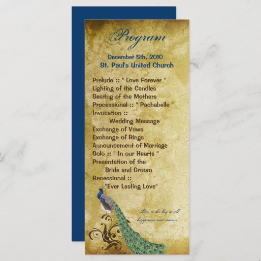 25 4x9 Huwelijksprogramma Peacock Veren Programma (Voorkant / Achterkant)