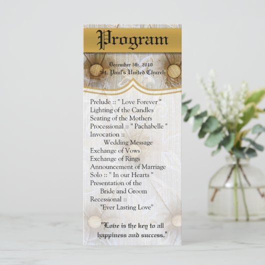 25 4x9 huwelijksprogramma Pintuck Fabric Tayl Programma (Staand voorkant)