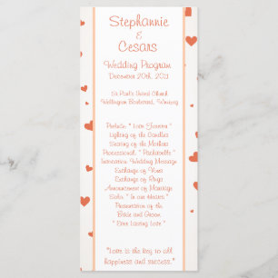 25 4x9 Programme de mariage Amour des pingouins / 