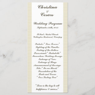 25 4x9 Programme de mariage cage d'oiseau/grise ca