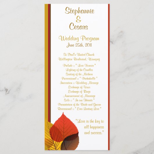 25 4x9 Programme de mariage Feuilles de mariage (Devant)