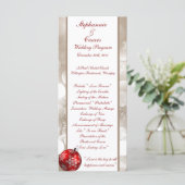 25 4x9 Programme de mariage Flou hivernal (Debout devant)