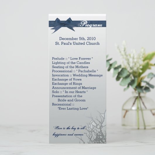 25 4x9 Programme de mariage Glass glacé Mirro craq (Debout devant)