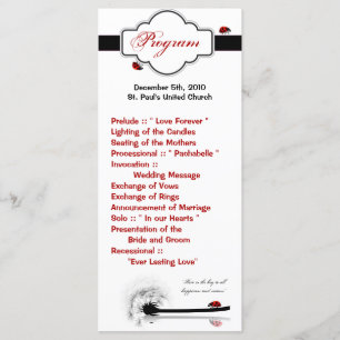 25 4x9 Programme de mariage Lady Bug Dandilion Fle