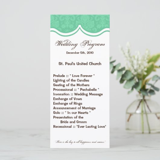25 4x9 Programme de mariage Mint Gree Blanc Dentel (Debout devant)