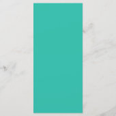 25 4x9 Programme de mariage Ombre Turquoise Chevro (Dos)