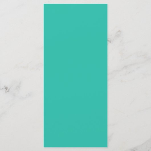 25 4x9 Programme de mariage Ombre Turquoise Chevro (Dos)