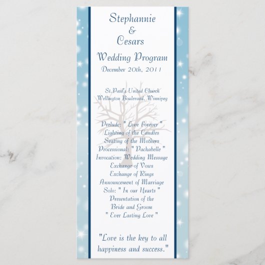 25 4x9 Programme de mariage Twinkling Neige / Arbr (Devant)