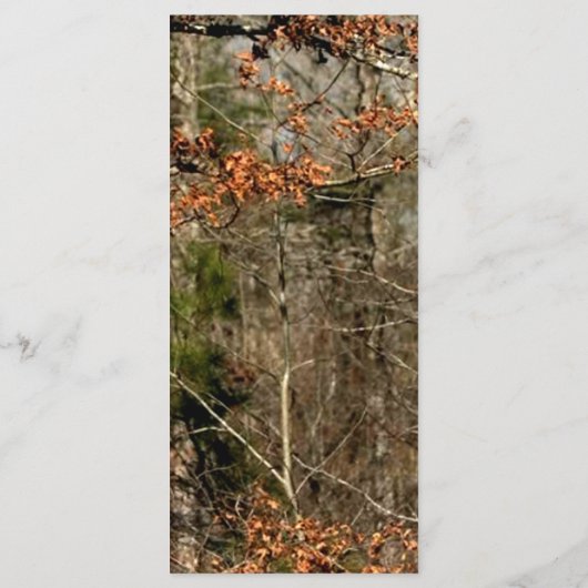 25 4x9 Wedding Program Hunting Deer Doe Buck Camo Programma (Achterkant)