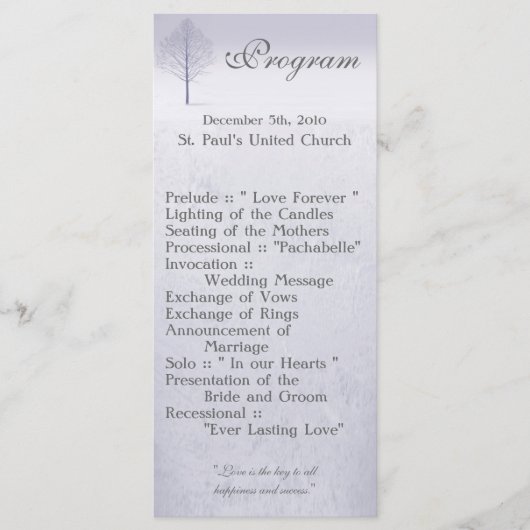 25 4x9 Wedding Programme Winter Wonderland Trees S Programma (Voorkant)