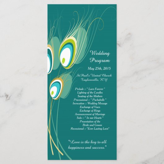 25 Blue Peacock Feather Wedding Programs Programma (Voorkant)