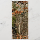 25 Cartes de menu Chasse Deer Buck Head Camo (Dos)