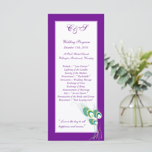 25 Programmes modernes de mariage avec paon violet (Debout devant)