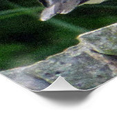 25x20 Poster brillant avec pouffin (Coin)