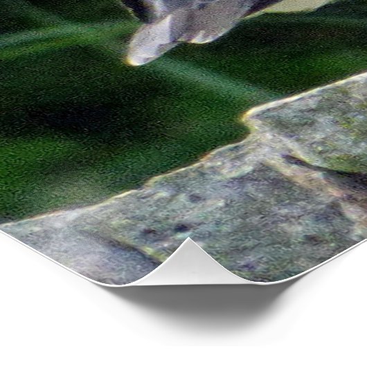 25x20 Poster brillant avec pouffin (Coin)