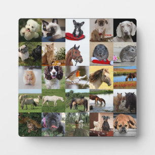 25x Foto Collage Plaque - ELKE Gelegenheid Fotoplaat