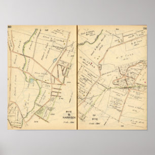 260261 Rogge, Harrison Poster