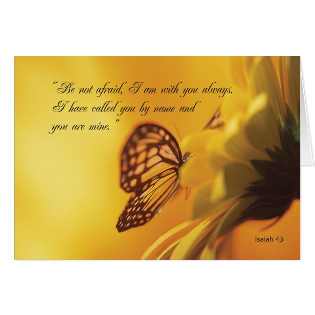 2607 Wees niet bang voor vlinder en ventilator (Voorkant Horizontaal)