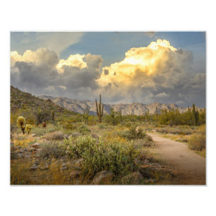 2729 - Het woestijnlandschap van Arizona bij zonso Foto Afdruk