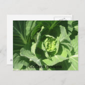 28 feb . 193 , colard greens briefkaart (Voorkant / Achterkant)