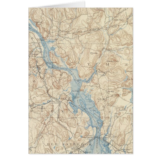 28 Feuille Saybrook (Devant)