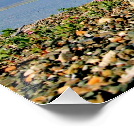 28x14 Glanzend Poster van scène van Homer Alaska Perfect Poster (Hoek)