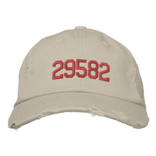 29582 PET