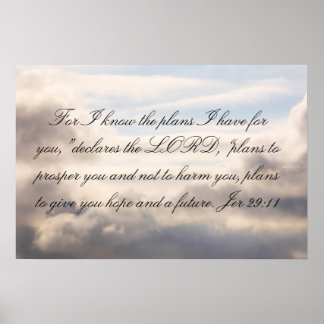 29:11: Want ik ken de plannen Poster