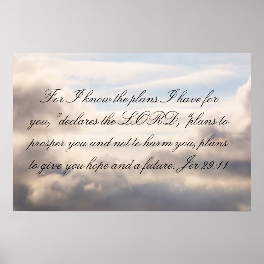 29:11: Want ik ken de plannen Poster (Voorkant)