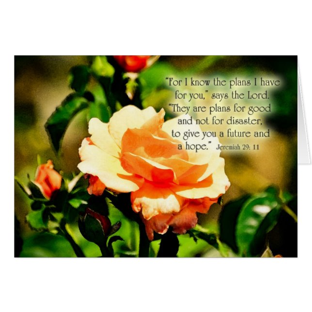 29_11Zazzle (Devant Horizontal)