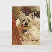 29 encore ? Carte d'anniversaire (Devant)