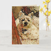 29 encore ? Carte d'anniversaire (Fleur jaune)